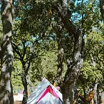 Parque de Campismo Ladouceur Ramatuelle