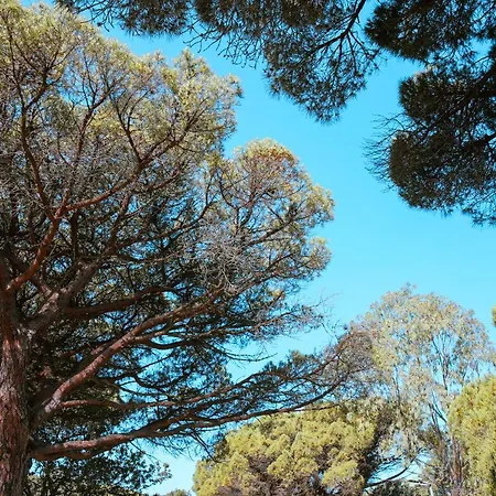 Ladouceur Parque de Campismo