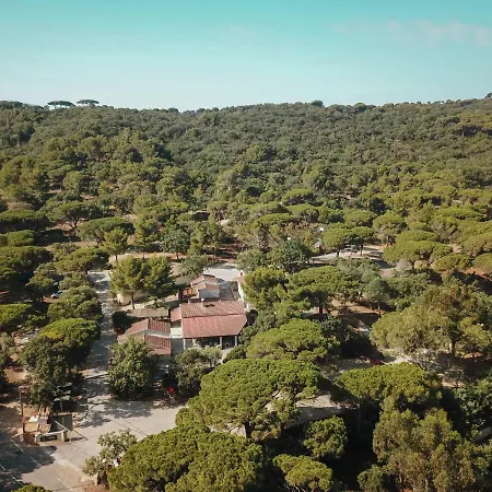 Ladouceur Camping Ramatuelle