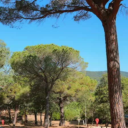 Ladouceur * Ramatuelle