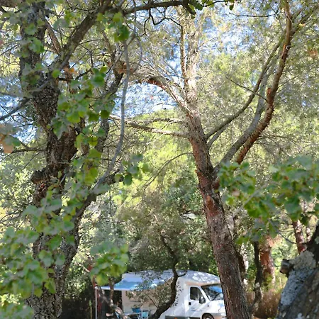 Ladouceur Ramatuelle