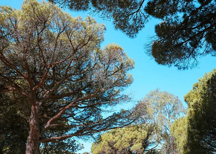 Ladouceur Κάμπινγκ
