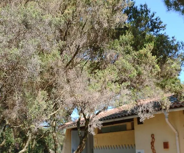 Ladouceur Κάμπινγκ Ramatuelle