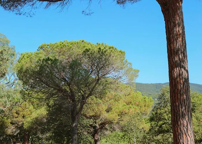 Ladouceur 3* Ramatuelle