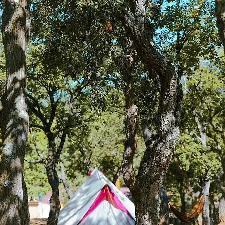 Kemping Ladouceur Ramatuelle