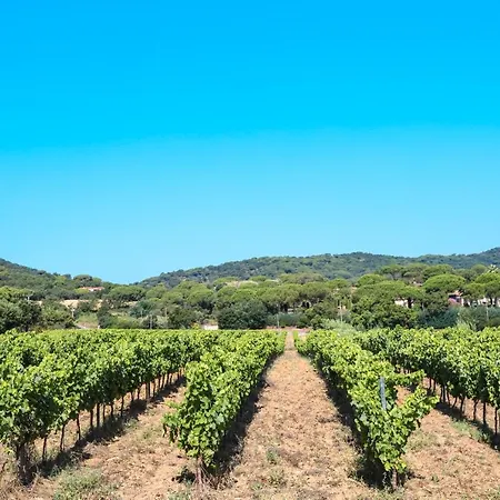 Ladouceur Ramatuelle