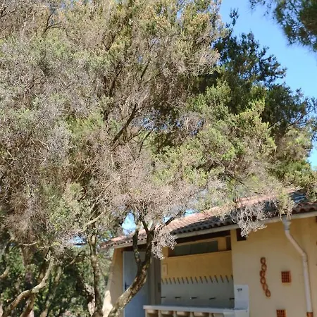 Ladouceur Kemping Ramatuelle