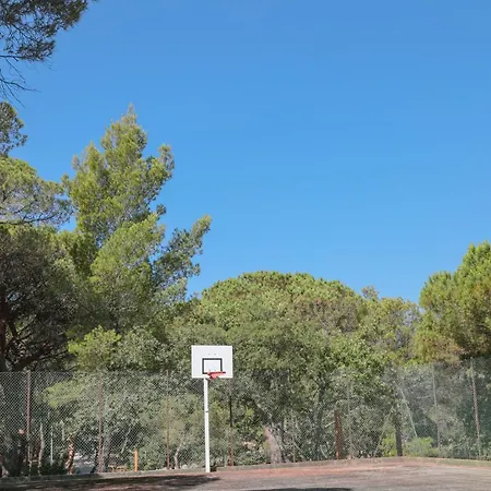 Ladouceur キャンプ場 *