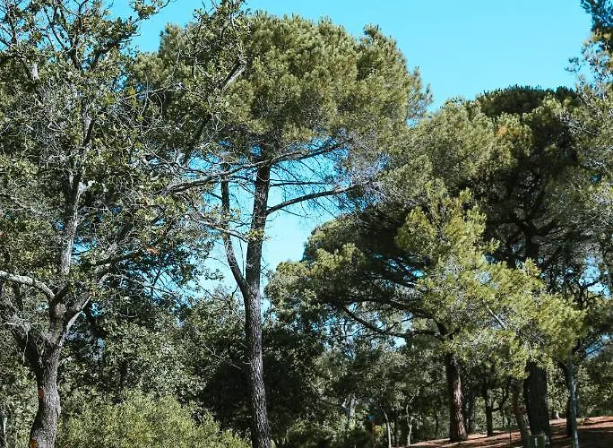 Camping Ladouceur Ramatuelle