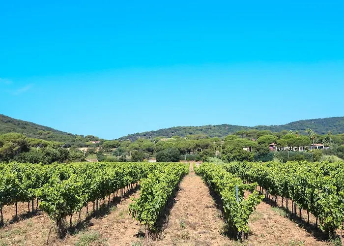 Ladouceur Ramatuelle