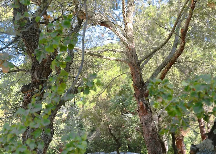 Ladouceur Ramatuelle