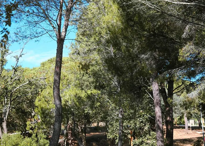 Ladouceur Camping 3*