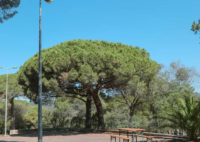 Camping Ladouceur 3*