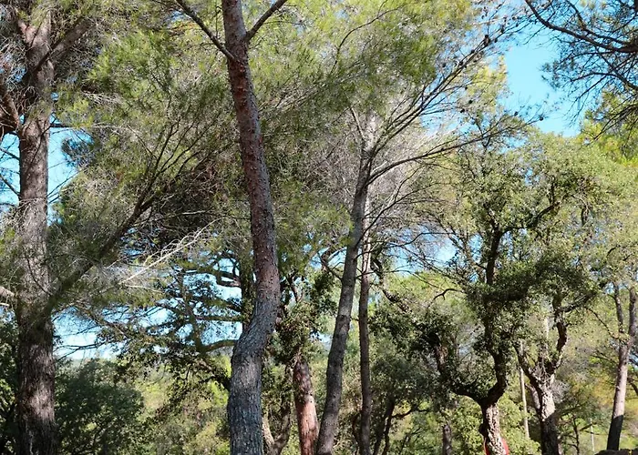 Ladouceur 3* Ramatuelle